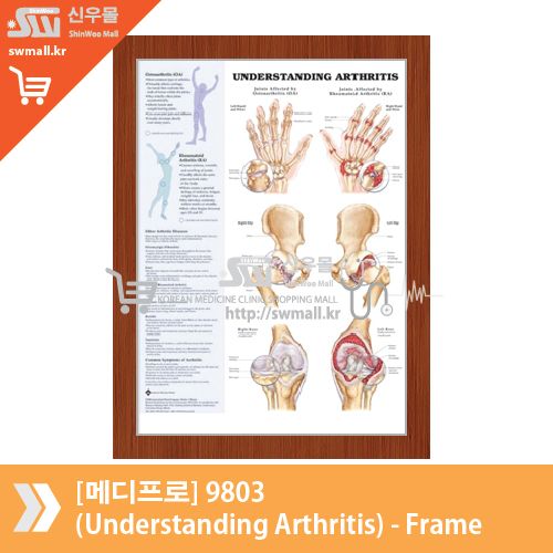 [메디프로]9803(Understanding Arthritis)