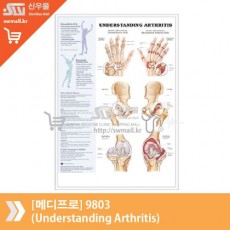 [메디프로]9803(Understanding Arthritis)