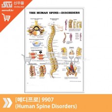 [메디프로]9907(Human Spine Disorders)
