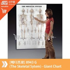 [메디프로]8943 G (The Skeletal Sytem) - Giant Chart